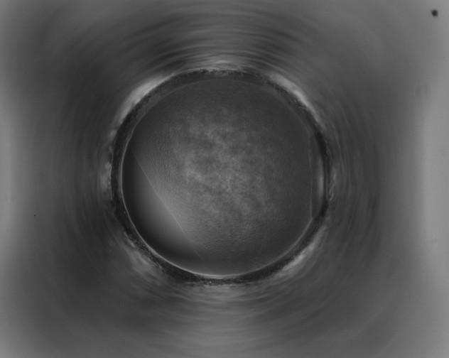 X0000088391066200705221109