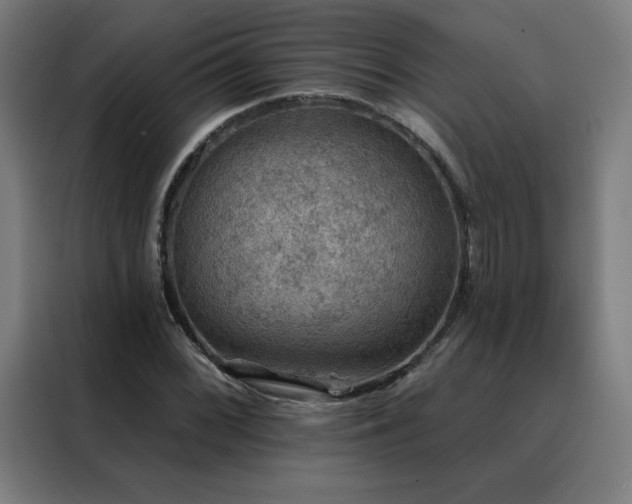 X0000088391068200705221109