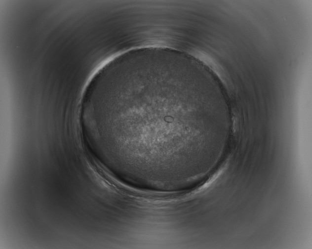 X0000088391069200705221109