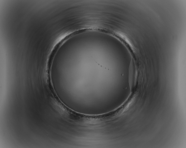 X0000088391071200705221109