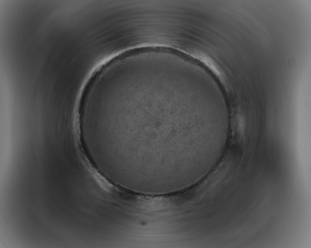 X0000088391072200705221109