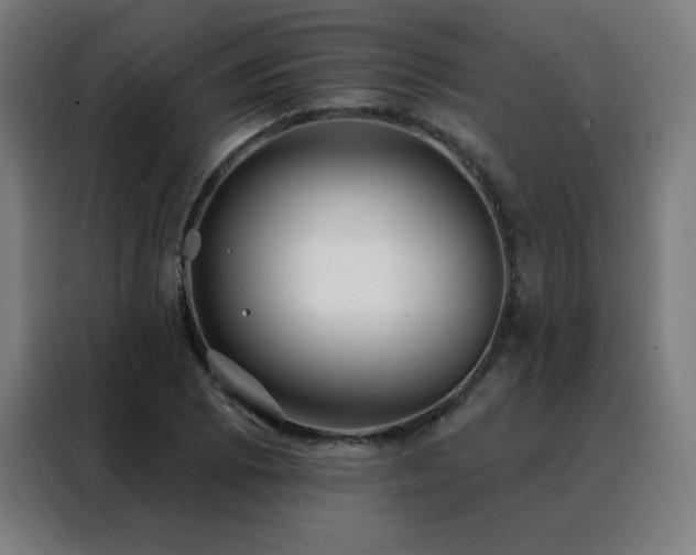 X0000088391073200705221109