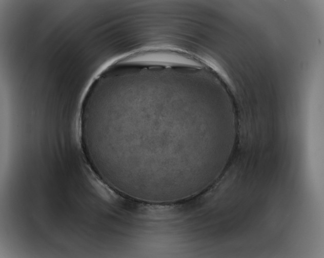 X0000088391076200705221109