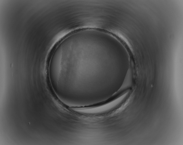 X0000088391077200705221109