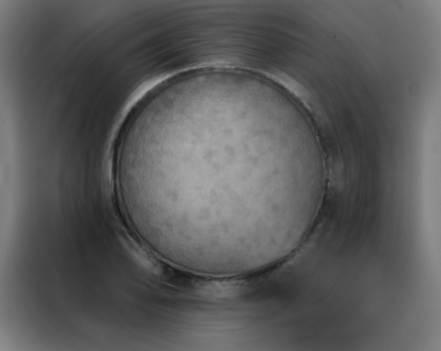 X0000088391078200705221109