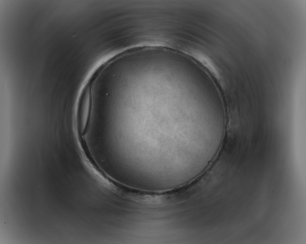 X0000088391080200705221109