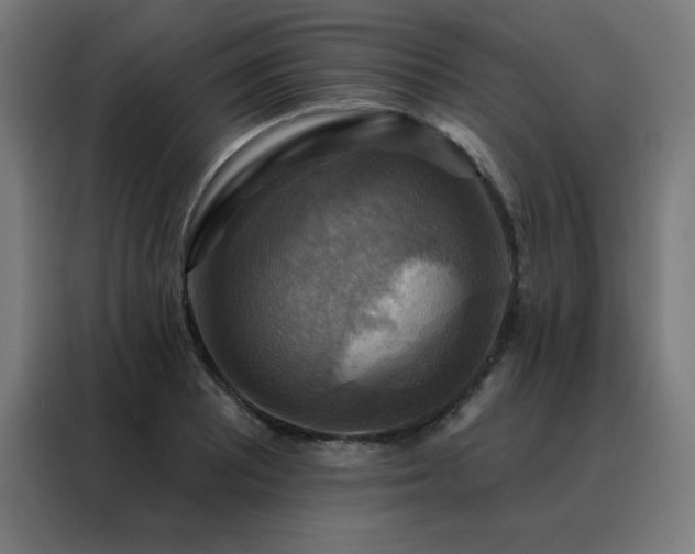 X0000088391081200705221109