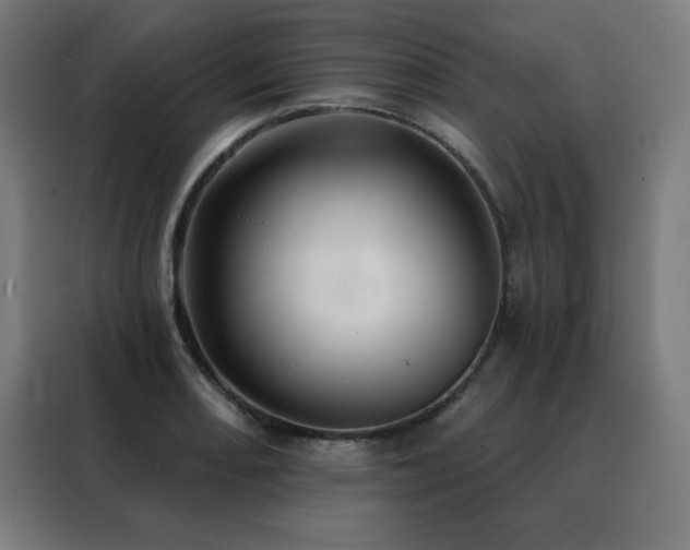 X0000088391082200705221109