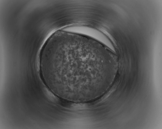 X0000088391083200705221109