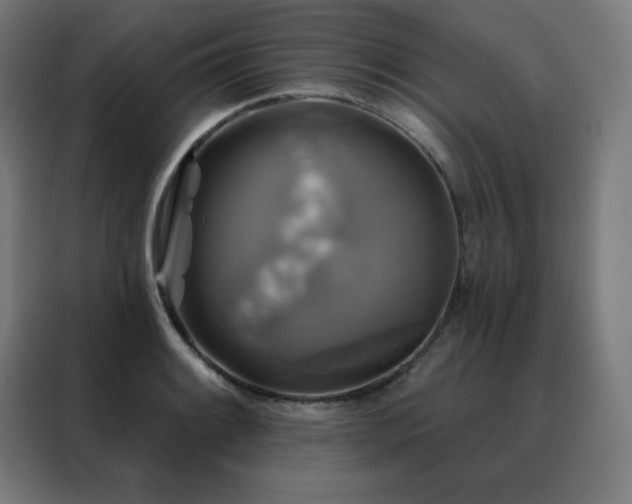 X0000088391084200705221109