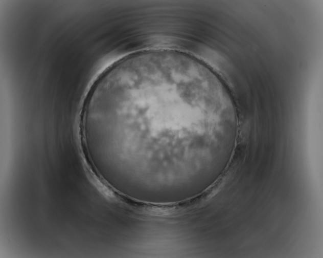 X0000088391086200705221109