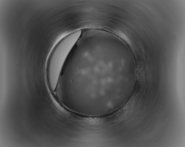 X0000088391087200705221109