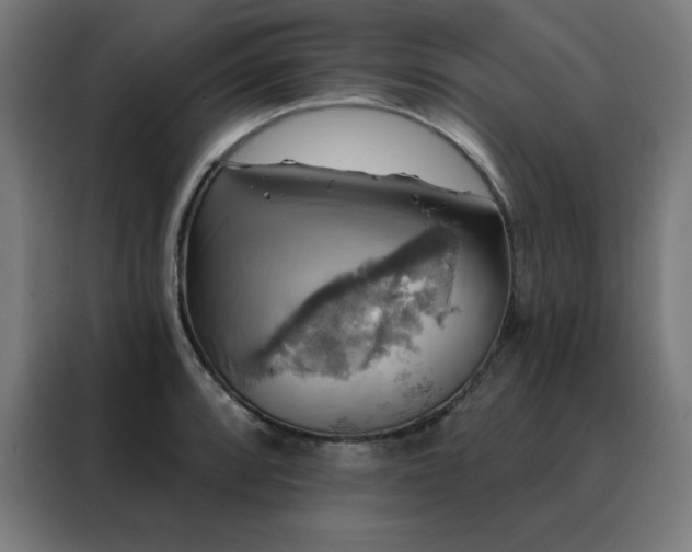 X0000088391088200705221109