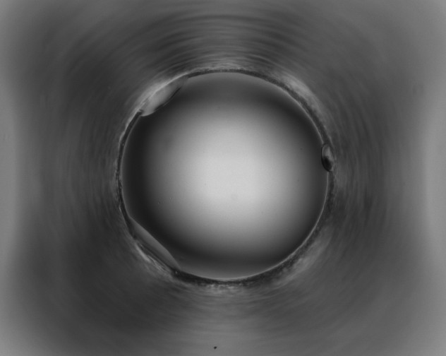 X0000088391089200705221109