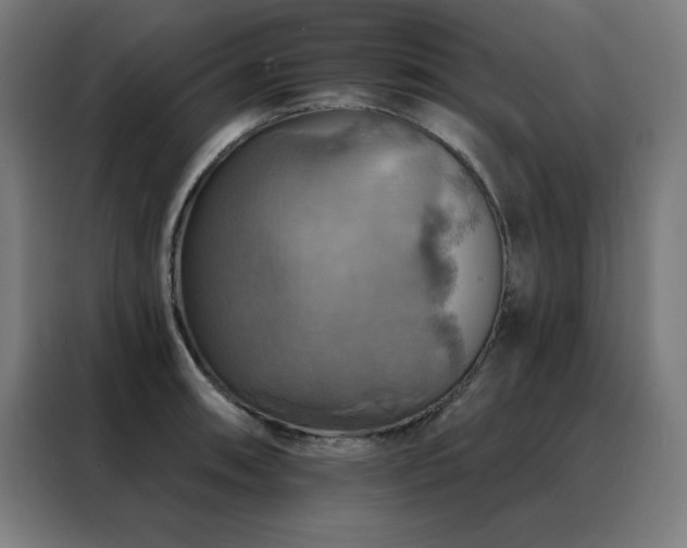 X0000088391090200705221109