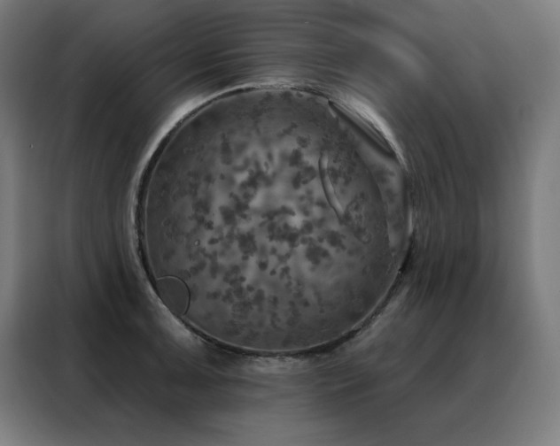 X0000088391091200705221109