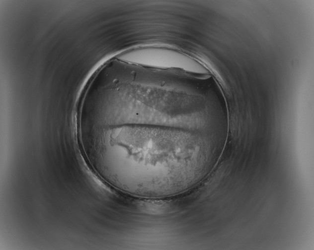 X0000088391092200705221109