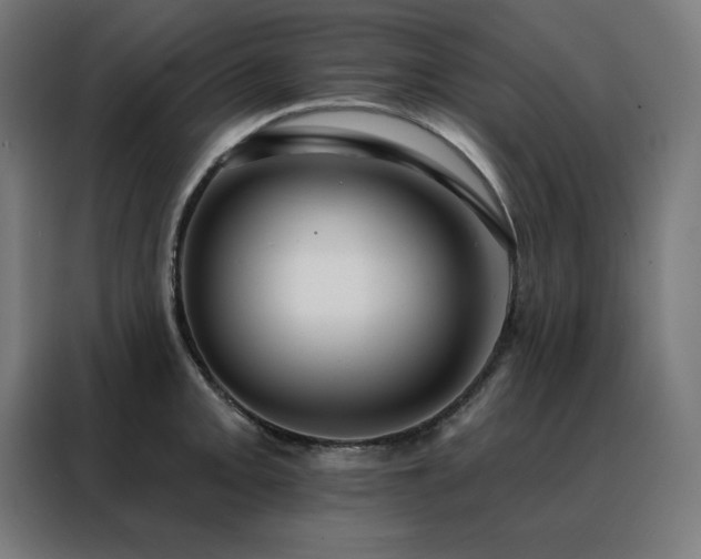 X0000088391093200705221109