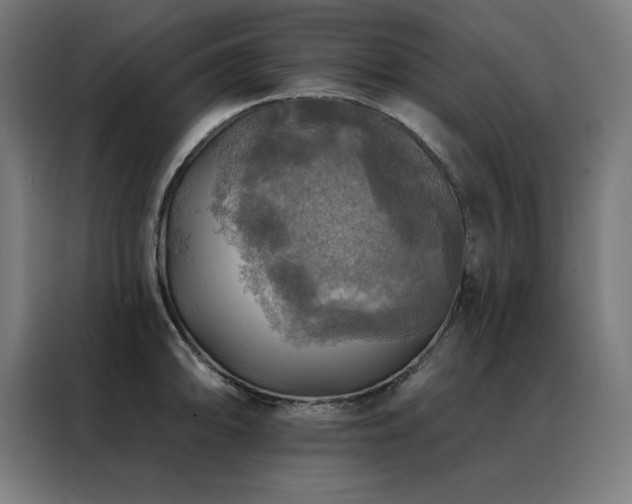 X0000088391094200705221109