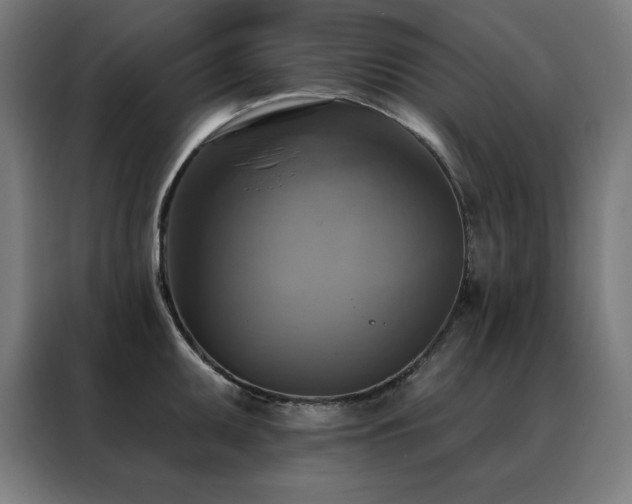 X0000088391095200705221109