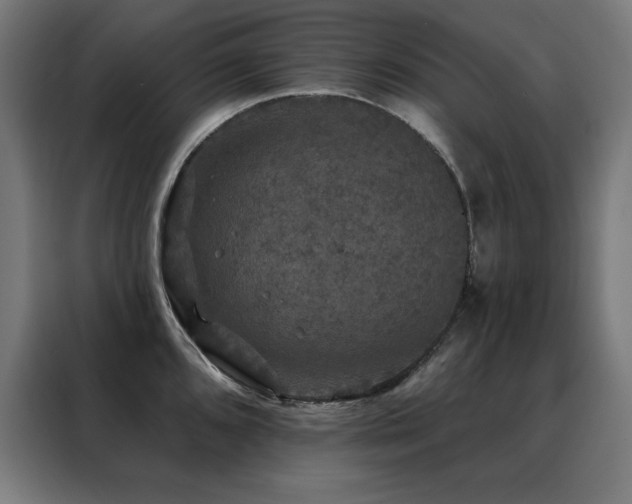 X0000088391096200705221109