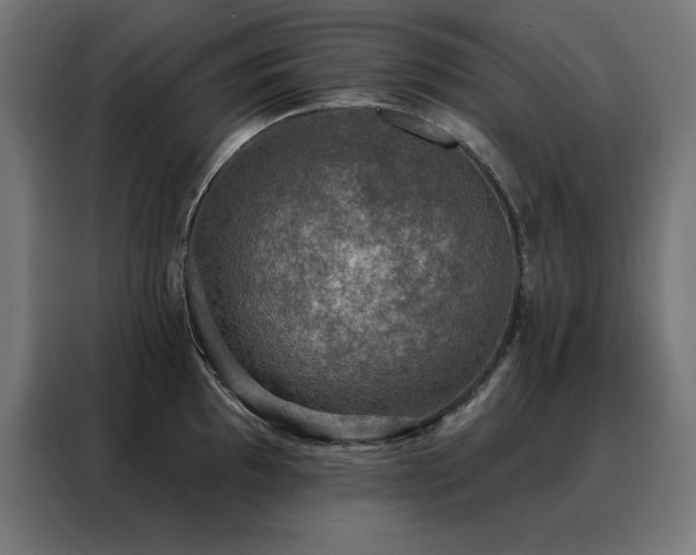 X0000088391097200705221109