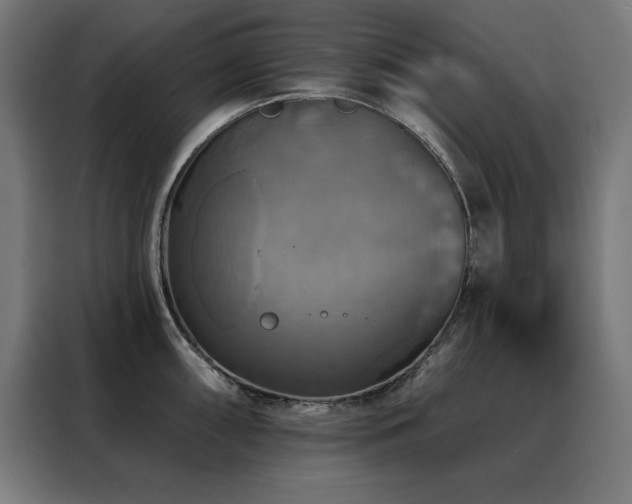 X0000088391098200705221109