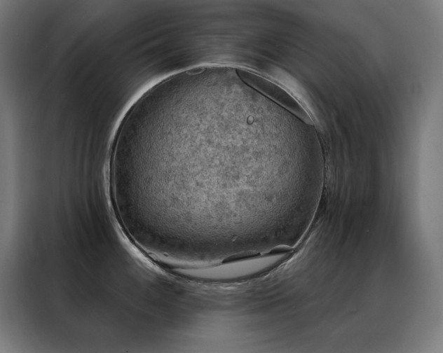 X0000088391100200705221109