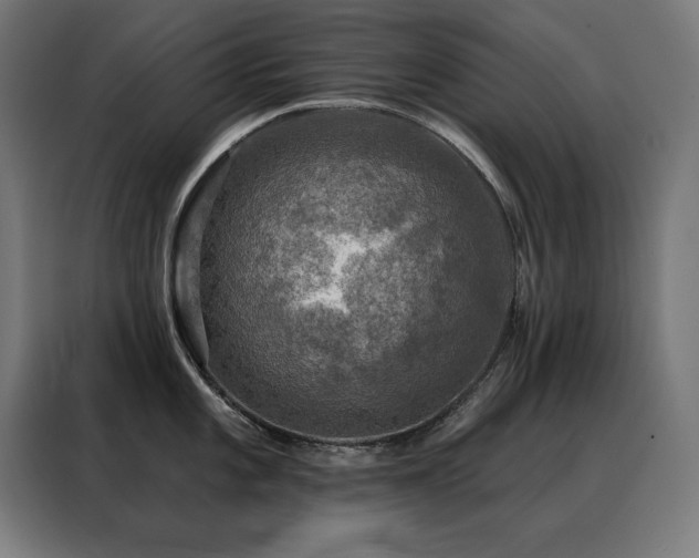 X0000088391101200705221109