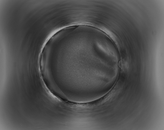 X0000088391102200705221109