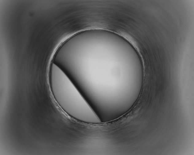 X0000088391104200705221109