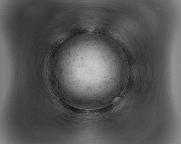 X0000088391105200705221108