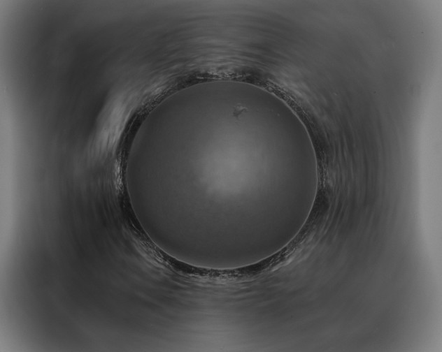 X0000088391106200705221108