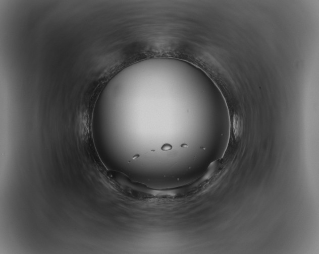 X0000088391107200705221108