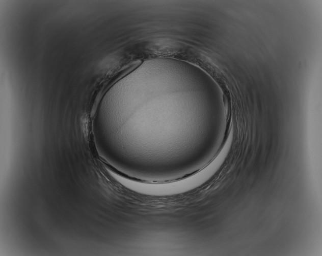 X0000088391108200705221108