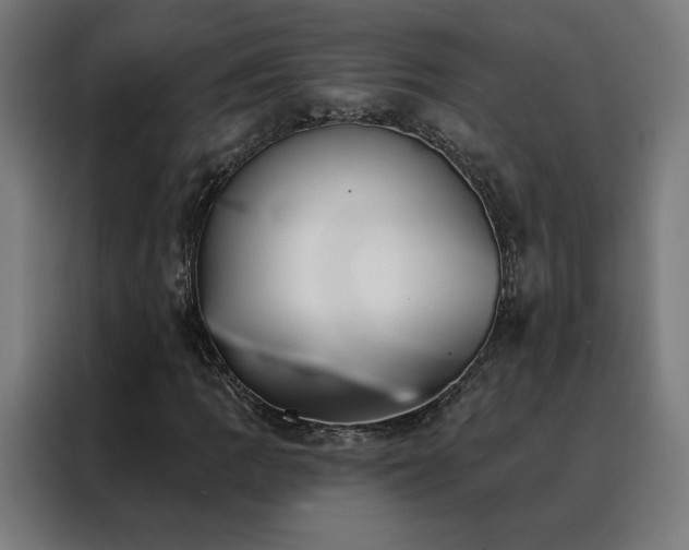 X0000088391109200705221108