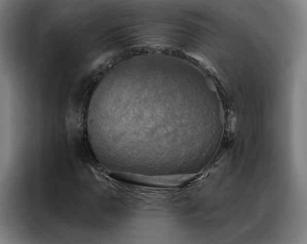 X0000088391110200705221108