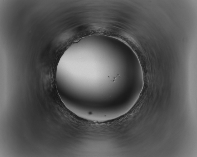 X0000088391111200705221108