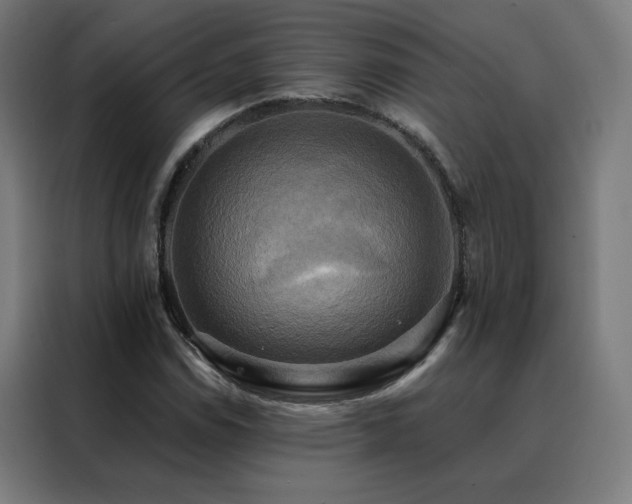 X0000088391114200705221108