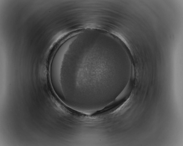 X0000088391115200705221108