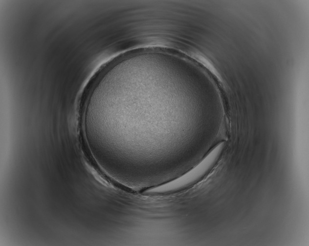 X0000088391116200705221108