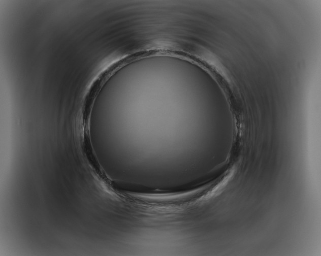 X0000088391117200705221108