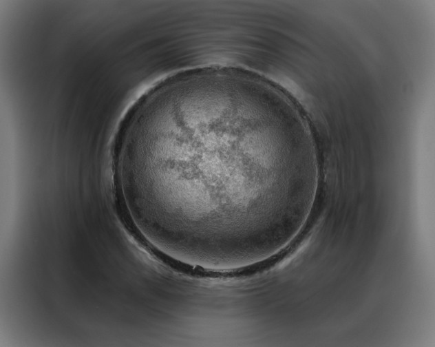 X0000088391118200705221108