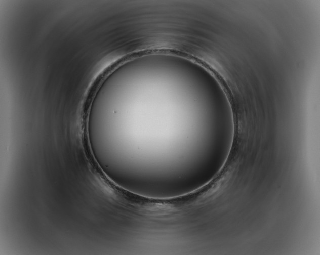 X0000088391119200705221108