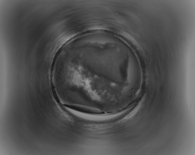 X0000088391121200705221108