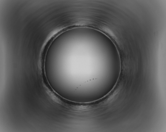 X0000088391122200705221108