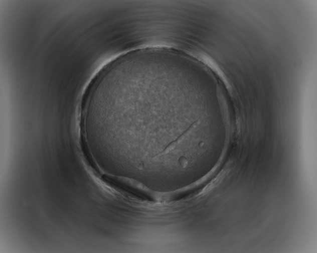 X0000088391124200705221109