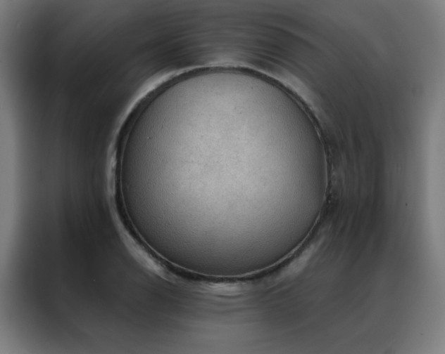 X0000088391126200705221109