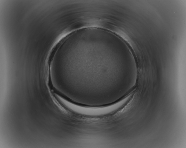 X0000088391127200705221109