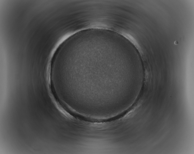 X0000088391128200705221109